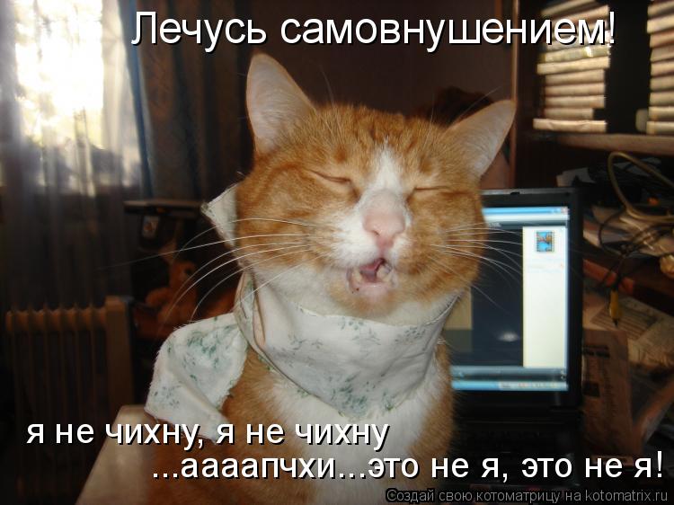 ...аааапчхи...это не я, это не я! я не чихну, я не чихну Лечусь самовнушением!... Котоматрица: ...аааапчхи...это не я, это не я! я не чихну, я не чихну Лечусь самовнушением!
