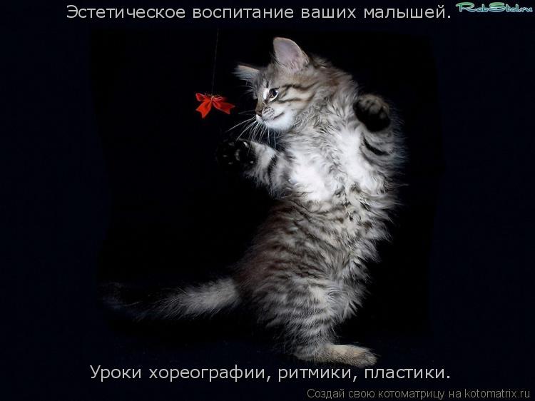Эстетическое воспитание ваших малышей. Уроки хореографии, ритмики, пластики.... Котоматрица: Эстетическое воспитание ваших малышей. Уроки хореографии, ритмики, пластики.