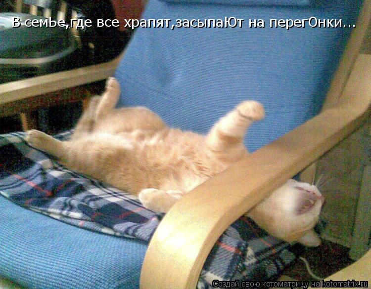 В семЬе,где все храпят,засыпаЮт на перегОнки...... Котоматрица: В семЬе,где все храпят,засыпаЮт на перегОнки...