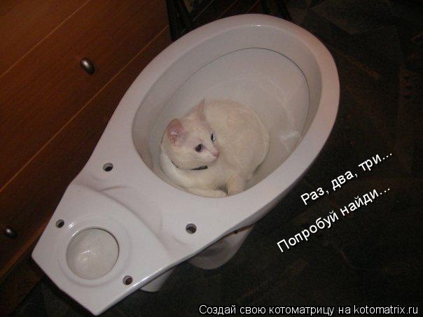 Раз, два, три... Попробуй найди...... Котоматрица: Раз, два, три... Попробуй найди...