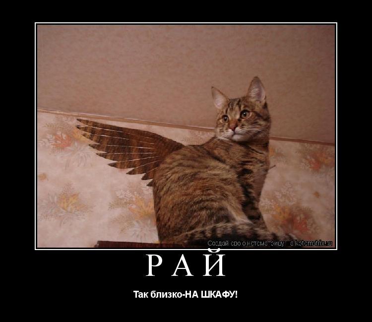 РАЙ Так близко-НА ШКАФУ!... Котоматрица: РАЙ Так близко-НА ШКАФУ!
