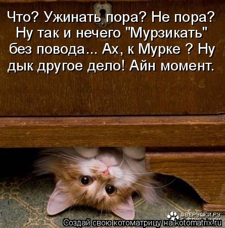 Что? Ужинать пора? Не пора? Ну так и нечего "Мурзикать" без повода... Ах, к Мурке ? Ну дык другое дел... Котоматрица: Что? Ужинать пора? Не пора? Ну так и нечего "Мурзикать" без повода... Ах, к Мурке ? Ну дык другое дело! Айн момент.