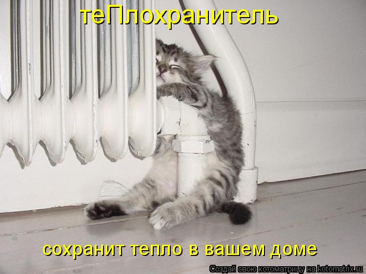 теПлохранитель сохранит тепло в вашем доме... Котоматрица: теПлохранитель сохранит тепло в вашем доме