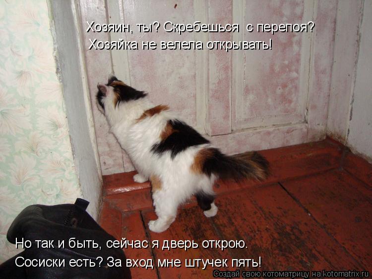 Сосиски есть? За вход мне штучек пять! Но так и быть, сейчас я дверь открою. Хозяйка не велела открыв... Котоматрица: Сосиски есть? За вход мне штучек пять! Но так и быть, сейчас я дверь открою. Хозяйка не велела открывать! Хозяин, ты? Скребешься с перепоя?
