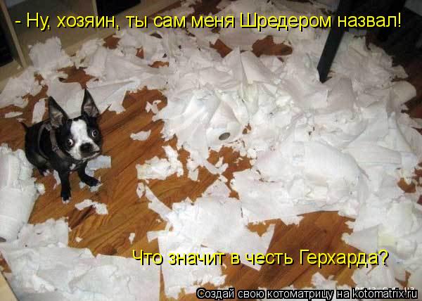 - Ну, хозяин, ты сам меня Шредером назвал! Что значит в честь Герхарда?... Котоматрица: - Ну, хозяин, ты сам меня Шредером назвал! Что значит в честь Герхарда?