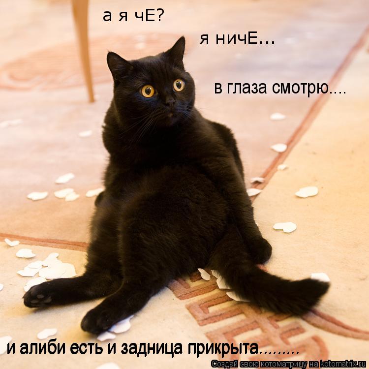 и алиби есть и задница прикрыта......... и алиби есть и задница прикрыта......... в глаза смотрю.... ... Котоматрица: и алиби есть и задница прикрыта......... и алиби есть и задница прикрыта......... в глаза смотрю.... я ничЕ... а я чЕ?