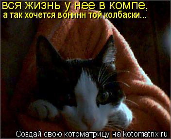 вся жизнь у нее в компе, а так хочется вонннн той колбаски...... Котоматрица: вся жизнь у нее в компе, а так хочется вонннн той колбаски...