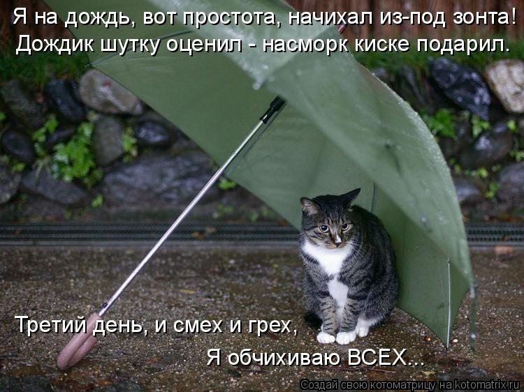 Я на дождь, вот простота, начихал из-под зонта! Дождик шутку оценил - насморк киске подарил. Третий д... Котоматрица: Я на дождь, вот простота, начихал из-под зонта! Дождик шутку оценил - насморк киске подарил. Третий день, и смех и грех, Я обчихиваю ВСЕХ...