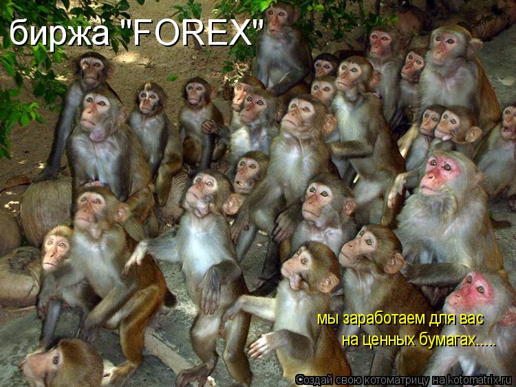 биржа "FOREX" мы заработаем для вас на ценных бумагах........ Котоматрица: биржа "FOREX" мы заработаем для вас на ценных бумагах.....