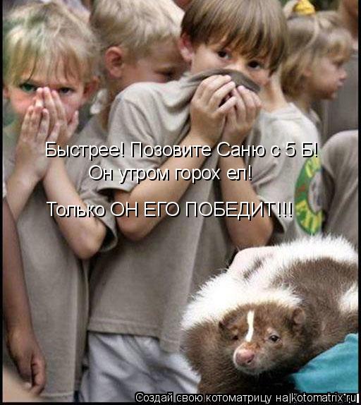 Быстрее! Позовите Саню с 5 Б! Он утром горох ел! Только ОН ЕГО ПОБЕДИТ!!!... Котоматрица: Быстрее! Позовите Саню с 5 Б! Он утром горох ел! Только ОН ЕГО ПОБЕДИТ!!!