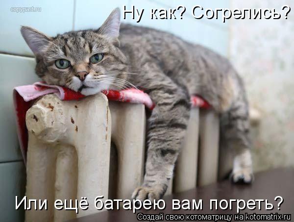 Ну как? Согрелись? Или ещё батарею вам погреть?... Котоматрица: Ну как? Согрелись? Или ещё батарею вам погреть?