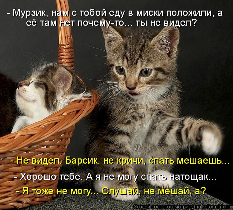 - Мурзик, нам с тобой еду в миски положили, а её там нет почему-то... ты не видел? - Хорошо тебе. А ... Котоматрица: - Мурзик, нам с тобой еду в миски положили, а её там нет почему-то... ты не видел? - Хорошо тебе. А я не могу спать натощак... - Я тоже не могу... Сл