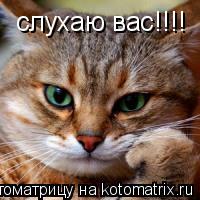 слухаю вас!!!!... Котоматрица: слухаю вас!!!!