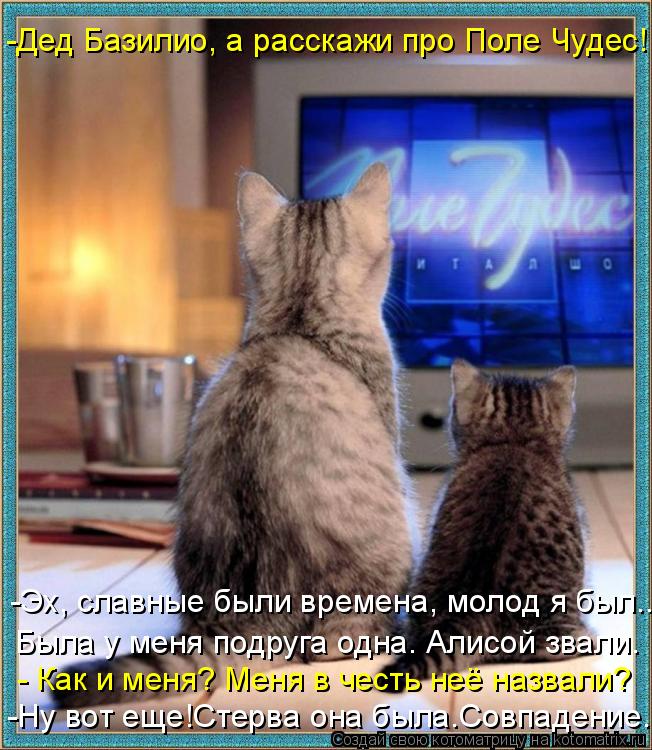 Котоматрица: - Как и меня? Меня в честь неё назвали?  Была у меня подруга одна. Алисой звали.  -Дед Базилио, а расскажи про Поле Чудес! -Ну вот еще!Стерва она б