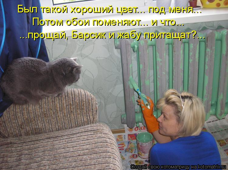 Был такой хороший цвет... под меня... Потом обои поменяют... и что... ...прощай, Барсик и жабу прита... Котоматрица: Был такой хороший цвет... под меня... Потом обои поменяют... и что... ...прощай, Барсик и жабу притащат?...