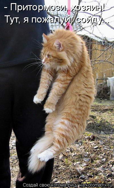 - Притормози, хозяин! Тут, я пожалуй, сойду...... Котоматрица: - Притормози, хозяин! Тут, я пожалуй, сойду...
