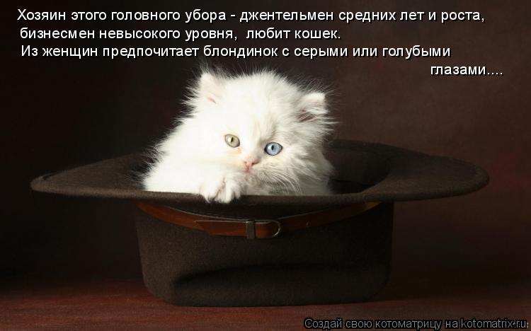 Хозяин этого головного убора - джентельмен средних лет и роста, бизнесмен невысокого уровня, любит к... Котоматрица: Хозяин этого головного убора - джентельмен средних лет и роста, бизнесмен невысокого уровня, любит кошек. Из женщин предпочитает блондинок