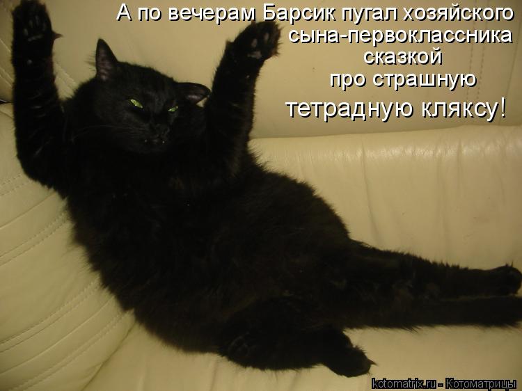 А по вечерам Барсик пугал хозяйского сына-первоклассника сказкой про страшную тетрадную кляксу!... Котоматрица: А по вечерам Барсик пугал хозяйского сына-первоклассника сказкой про страшную тетрадную кляксу!