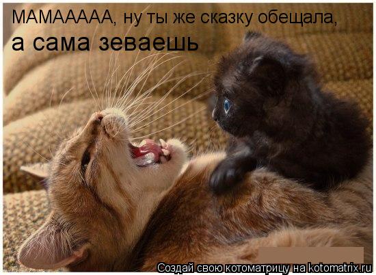 МАМААААА, ну ты же сказку обещала, а сама зеваешь... Котоматрица: МАМААААА, ну ты же сказку обещала, а сама зеваешь