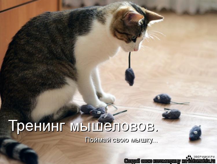 Тренинг мышеловов. Поймай свою мышку...... Котоматрица: Тренинг мышеловов. Поймай свою мышку...