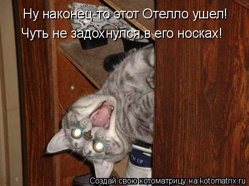 Ну наконец-то этот Отелло ушел! Чуть не задохнулся в его носках!... Котоматрица: Ну наконец-то этот Отелло ушел! Чуть не задохнулся в его носках!