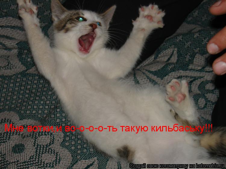 Мне вотки,и во-о-о-о-ть такую кильбаську!!!... Котоматрица: Мне вотки,и во-о-о-о-ть такую кильбаську!!!