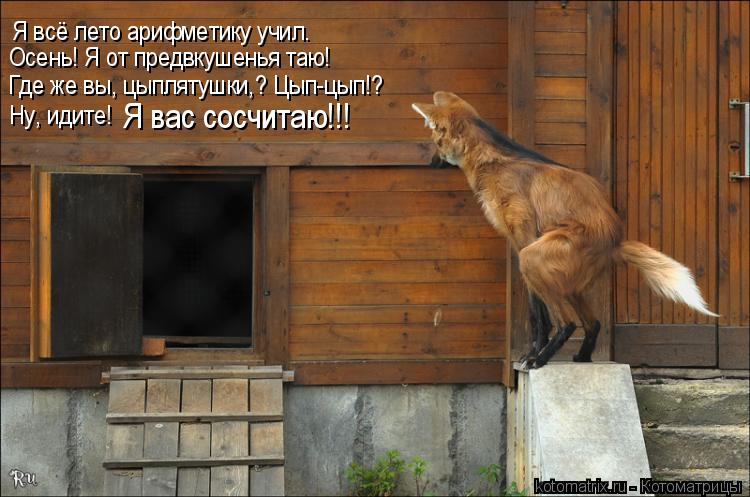 Я всё лето арифметику учил. Осень! Я от предвкушенья таю! Где же вы, цыплятушки,? Цып-цып!? Ну, идите... Котоматрица: Я всё лето арифметику учил. Осень! Я от предвкушенья таю! Где же вы, цыплятушки,? Цып-цып!? Ну, идите! Я вас сосчитаю!!!