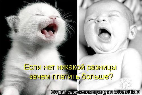 Если нет никакой разницы зачем платить больше?... Котоматрица: Если нет никакой разницы зачем платить больше?