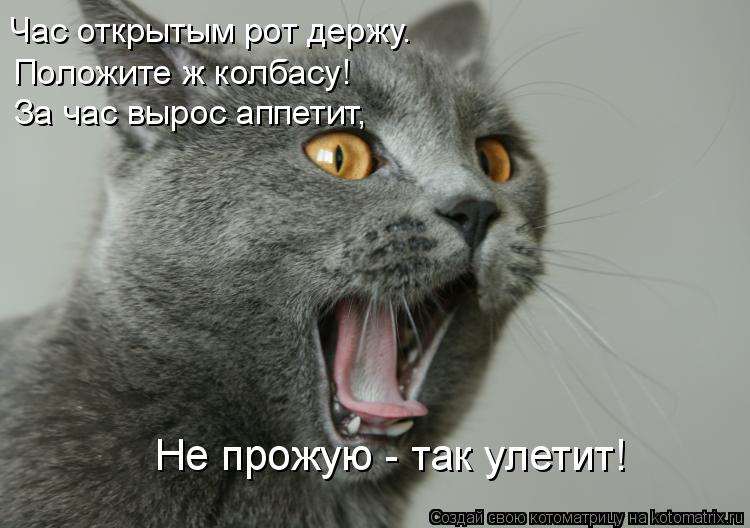 Час открытым рот держу. Положите ж колбасу! За час вырос аппетит, Не прожую - так улетит!... Котоматрица: Час открытым рот держу. Положите ж колбасу! За час вырос аппетит, Не прожую - так улетит!