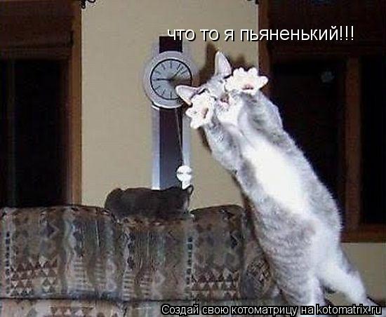 что то я пьяненький!!!... Котоматрица: что то я пьяненький!!!