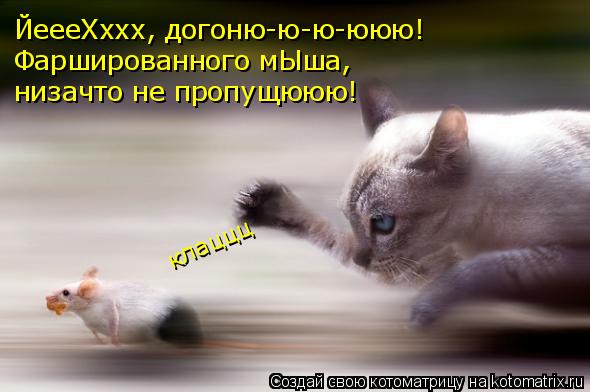 ЙеееХххх, догоню-ю-ю-ююю! Фаршированного мЫша, низачто не пропущююю! клаццц... Котоматрица: ЙеееХххх, догоню-ю-ю-ююю! Фаршированного мЫша, низачто не пропущююю! клаццц