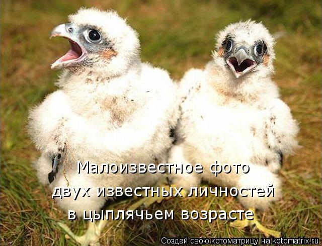 Котоматрица: Малоизвестное фото двух известных личностей в цыплячьем возрасте