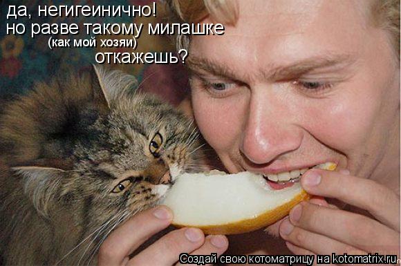 Котоматрица: да, негигеинично!  да, негигеинично!  но разве такому милашке (как мой хозяи) откажешь?