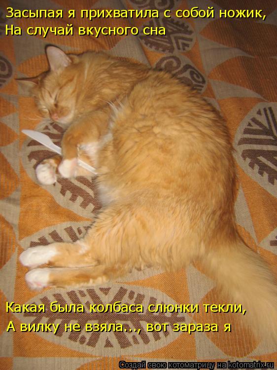 Котоматрица: Засыпая я прихватила с собой ножик, На случай вкусного сна  Какая была колбаса слюнки текли, А вилку не взяла..., вот зараза я