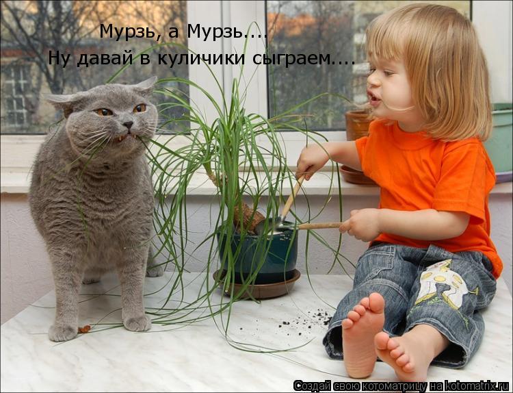 Котоматрица: Мурзь, а Мурзь.... Ну давай в куличики сыграем....