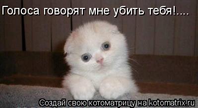 Котоматрица: Голоса говорят мне убить тебя!....