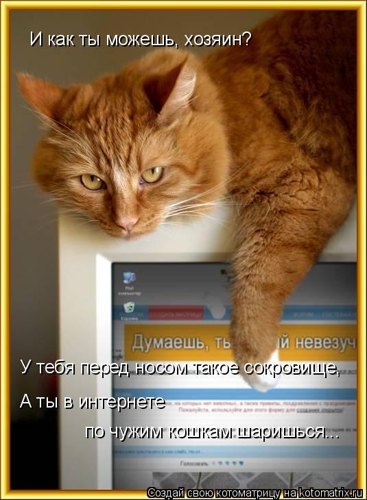 Котоматрица: И как ты можешь, хозяин? У тебя перед носом такое сокровище, А ты в интернете  по чужим кошкам шаришься...