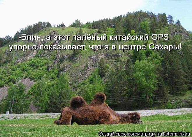 Котоматрица: -Блин, а этот палёный китайский GPS  упорно показывает, что я в центре Сахары!