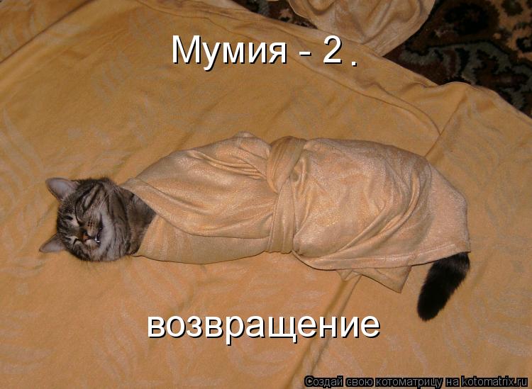 Котоматрица: Мумия - 2 возвращение .