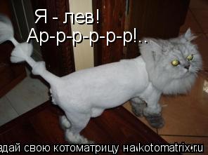Я - лев! Ар-р-р-р-р-р!..... Котоматрица: Я - лев! Ар-р-р-р-р-р!..