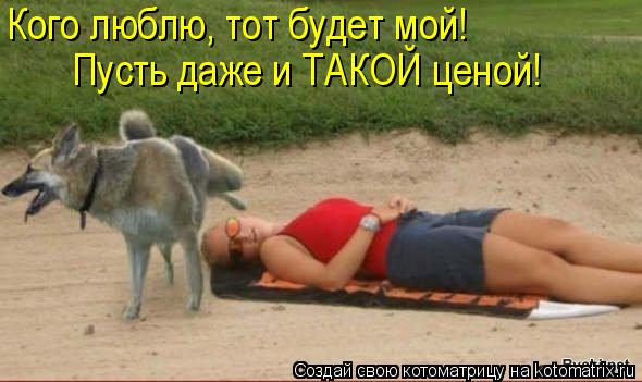 Кого люблю, тот будет мой! Пусть даже и ТАКОЙ ценой!... Котоматрица: Кого люблю, тот будет мой! Пусть даже и ТАКОЙ ценой!