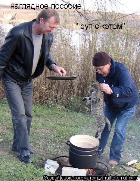 наглядное пособие " суп с котом"... Котоматрица: наглядное пособие " суп с котом"