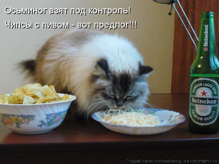 Осьминог взят под контроль! Чипсы с пивом - вот предлог!!!... Котоматрица: Осьминог взят под контроль! Чипсы с пивом - вот предлог!!!