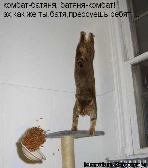 комбат-батяня, батяня-комбат! эх,как же ты,батя,прессуешь ребят!...... Котоматрица: комбат-батяня, батяня-комбат! эх,как же ты,батя,прессуешь ребят!...