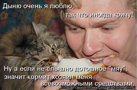 Дыню очень я люблю, так что иногда кричу! Ну а если не слышно дотошное "мяу", значит кормит хозяин ме... Котоматрица: Дыню очень я люблю, так что иногда кричу! Ну а если не слышно дотошное "мяу", значит кормит хозяин меня всевозможными средствами.