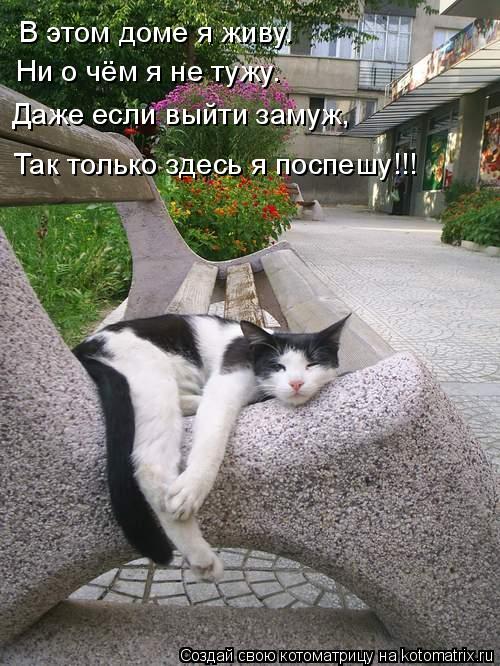 В этом доме я живу. Ни о чём я не тужу. Даже если выйти замуж, Так только здесь я поспешу!!!... Котоматрица: В этом доме я живу. Ни о чём я не тужу. Даже если выйти замуж, Так только здесь я поспешу!!!