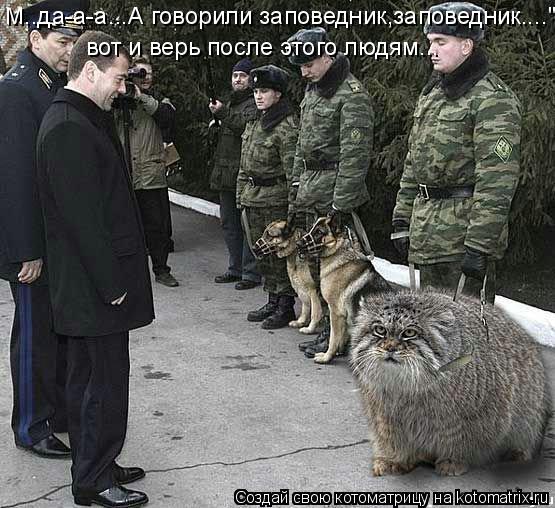 М..да-а-а...А говорили заповедник,заповедник...." вот и верь после этого людям...... Котоматрица: М..да-а-а...А говорили заповедник,заповедник...." вот и верь после этого людям...