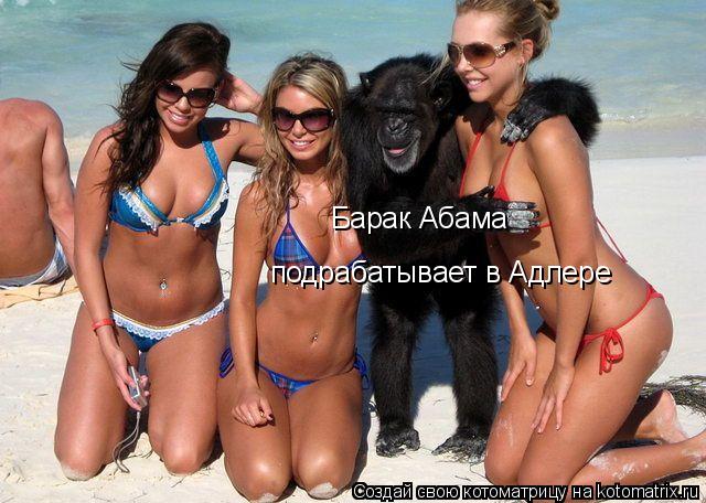 Барак Абама подрабатывает в Адлере... Котоматрица: Барак Абама подрабатывает в Адлере