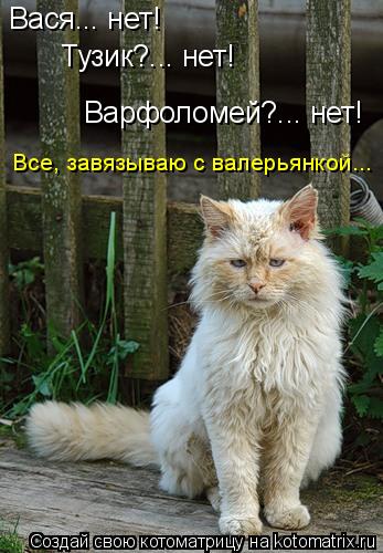 Вася... нет! Тузик?... нет! Варфоломей?... нет! Все, завязываю с валерьянкой...... Котоматрица: Вася... нет! Тузик?... нет! Варфоломей?... нет! Все, завязываю с валерьянкой...