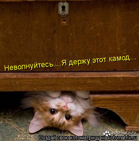 Неволнуйтесь....Я держу этот камод...... Котоматрица: Неволнуйтесь....Я держу этот камод...